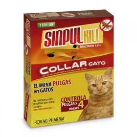 Collar Eco Dog