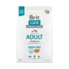 BRIT CARE GF ADULT SALMON 3 KILOS