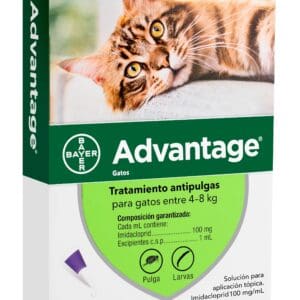 Advantage 4 A 8 K Gato