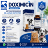 DOXIMICIN JARABE 60 ml