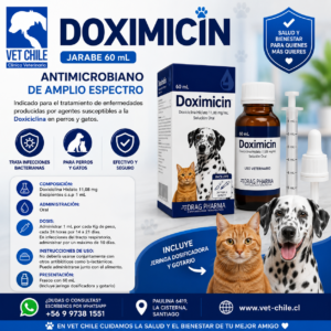 DOXIMICIN JARABE 60 ml