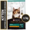 Pro Plan Cat Kitten 1 kg