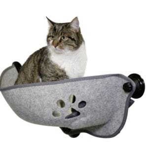 Cama Colgante para Gato para pegar en el vidrio