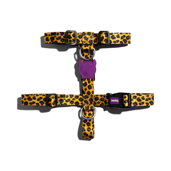 17051-1-Zee_dog-H-Harness-Honey_jpg_695x695