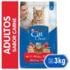 Cat Chow Delicia de Carne 3 KG