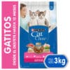 Cat Chow Gatitos 3 KG