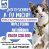 PROMOCION VACUNA TRIPLE FELINA + VACUNA ANTIRRABICA  DE LUNES A SABADOS $ 30.000 PESOS VET CHILE