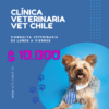 CONSULTA VETERINARIA DE LUNES A SABADOS $ 10.000 PESOS VET CHILE