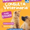 Consulta Veterinaria – $10.000