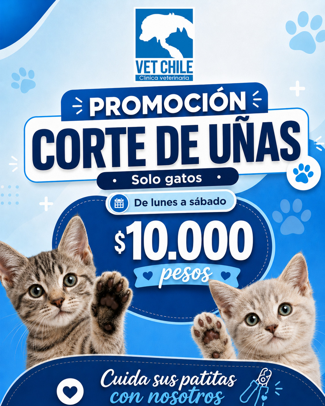 corte deuñas gatos
