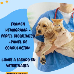 EXAMEN HEMOGRAMA + PERFIL BIOQUIMICO + PANEL DE COAGULACION PERROS DE LUNES A SABADO EN VETERINARIA $ 47.000 PESOS VET CHILE