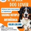 PROMOCION VACUNA ANTIRRABICA  + VACUNA OCTUPLE  CANINOS DE LUNES A SABADO EN VETERINARIA $ 30.000 PESOS VET CHILE