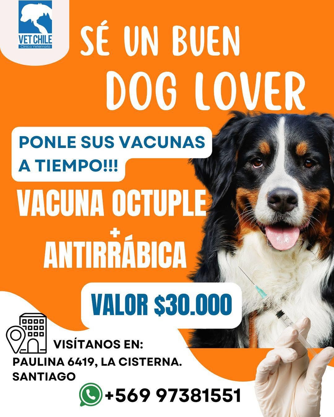 🎉 ¡Promoción 2025 en Vet Chile!🐶 Vacuna Óctuple + Antirrábica💉 Incluye consulta previa por so (1)