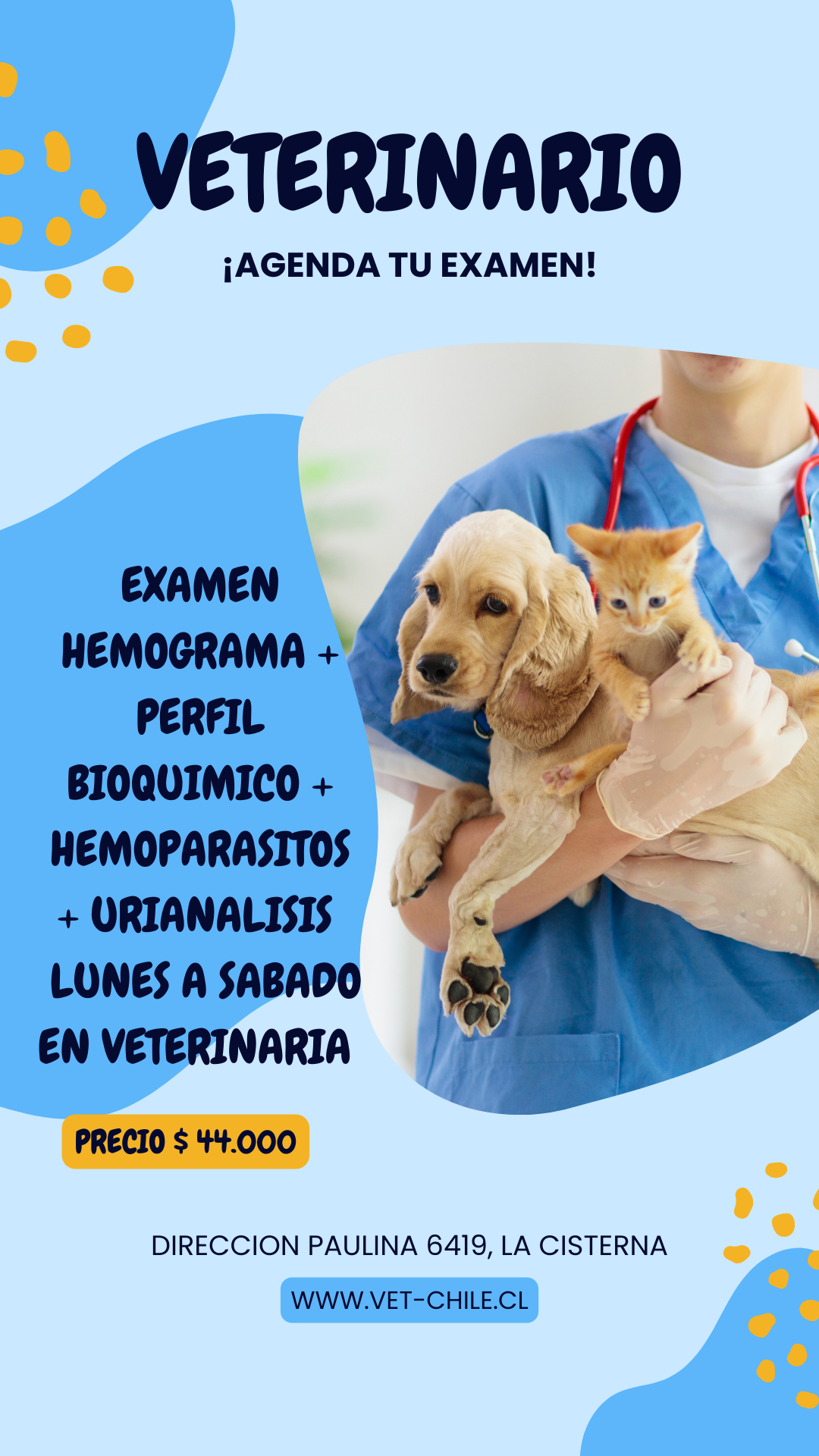 URIANALISIS Imagen del examen de urianálisis veterinario para perros y gatos en Vet Chile