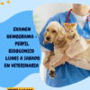 EXAMEN HEMOGRAMA + PERFIL BIOQUIMICO  DE LUNES A SABADO EN VETERINARIA $ 40.000 PESOS VET CHILE