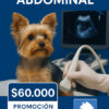 ECOGRAFIA ABDOMINAL  SOLO LOS DIAS MIERCOLES  EN VETERINARIA   A $60.000  VET CHILE