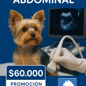 ECOGRAFIA ABDOMINAL  SOLO LOS DIAS MIERCOLES  EN VETERINARIA   A $60.000  VET CHILE