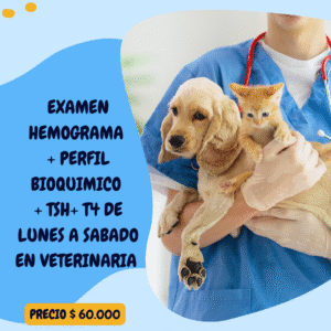 EXAMEN HEMOGRAMA + PERFIL BIOQUIMICO + TSH+ T4 DE LUNES A SABADO EN VETERINARIA $ 60.000 PESOS VET CHILE