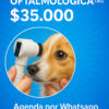 CONSULTA VETERINARIA OFTALMOLOGICA  $ 35.000 PESOS VET CHILE