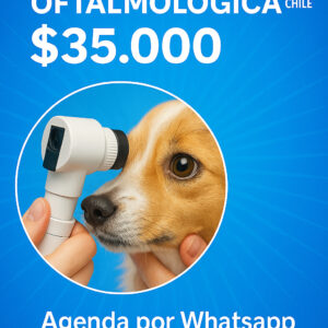 CONSULTA VETERINARIA OFTALMOLOGICA  $ 35.000 PESOS VET CHILE