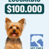 ECOCARDIOGRAMA SOLO LOS DIAS MIERCOLES  EN VETERINARIA   A $100.000  VET CHILE