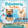 Servicio completo BAÑO+CORTE 1 A 5 KILOS PERRO PELUQUERIA (PELUQUERIA-BAÑO-CORTE DE UÑAS)