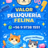 Servicio completo BAÑO+CORTE 1 A 5 KILOS FELINA PELUQUERIA (PELUQUERIA-BAÑO-CORTE DE UÑAS)