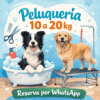 Servicio completo BAÑO+CORTE 10 A 20 KILOS PERRO PELUQUERIA (PELUQUERIA-BAÑO-CORTE DE UÑAS)