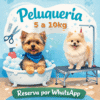 Servicio completo BAÑO+CORTE 5 A 10 KILOS PERRO PELUQUERIA (PELUQUERIA-BAÑO-CORTE DE UÑAS)