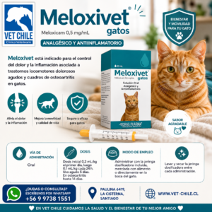 Meloxivet Gato – Solución Oral 20 mL
