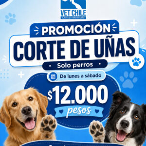 PROMOCION CORTE DE UÑAS  PERROS DE LUNES A SABADO EN VETERINARIA $ 12.000 PESOS VET CHILE