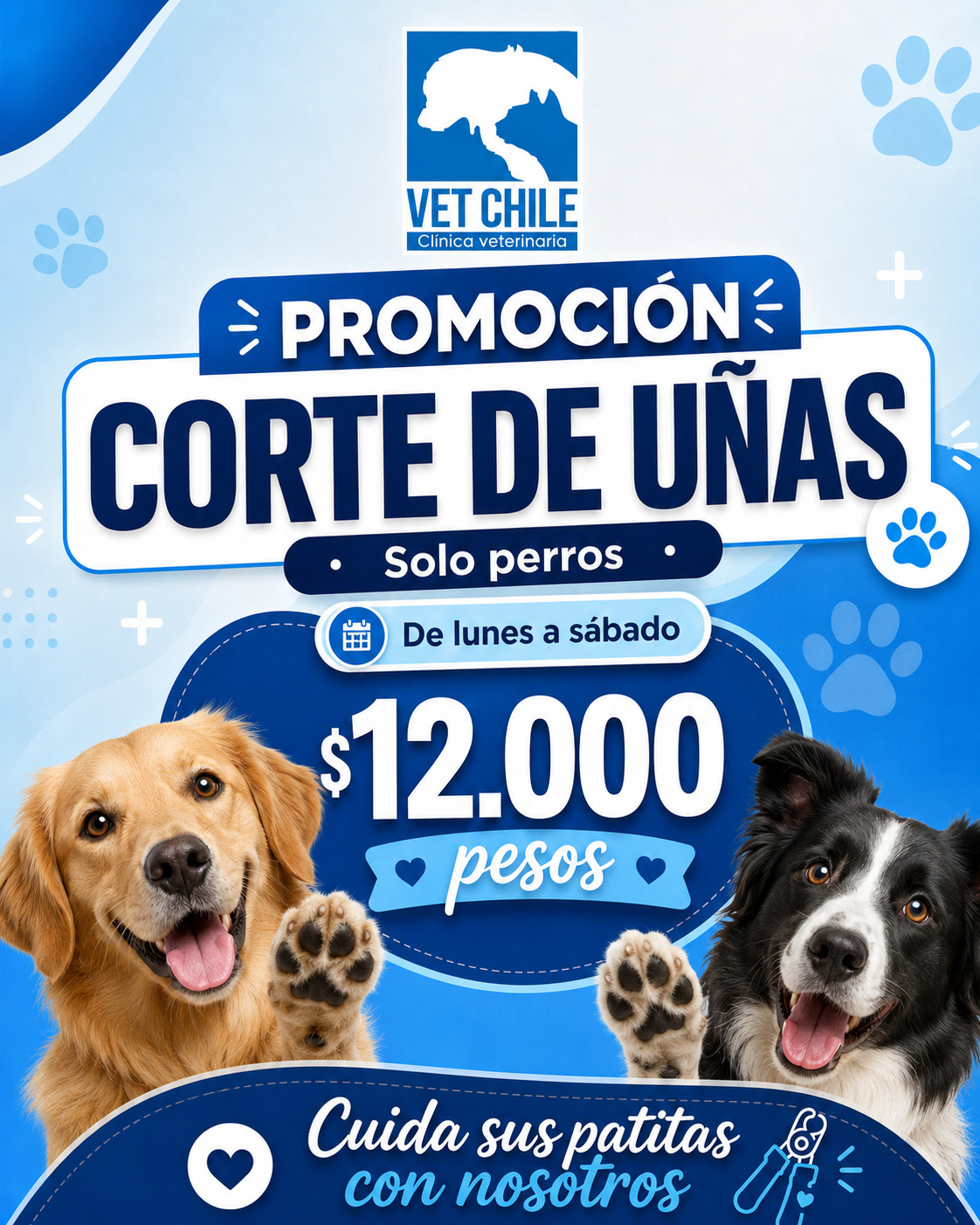 corte uñasperro