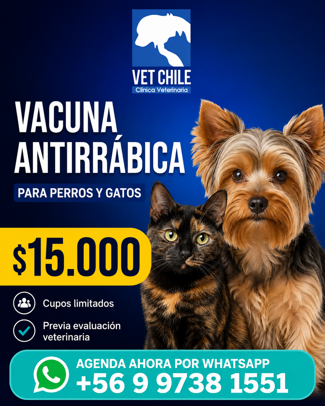 vet-chile-antirrabica-vendedora-1080x1350 Vacuna antirrábica para perros y gatos en Vet Chile La Cisterna